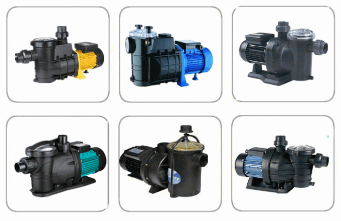 Aluminiumeinphasig-Elektromotor 0.75KW MYT712-2 für Swimmingpool-Pumpe