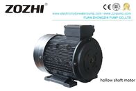 2 Pole Hollow Shaft Motor 15KW 400V/60HZ 132M2-2 High Pressure Pump Application