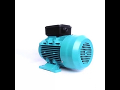 Induktionsmotor Einphasig