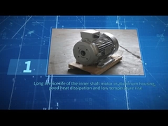 Hohlwellenmotorschwarzfarbe ZOZHI HS100L3-4 5.5HP/4KW