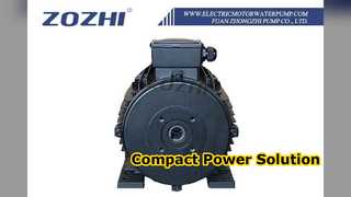 Hohlwellenmotor für Hochdruckreiniger 5,5 kW