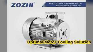 Y2 315 Rahmenmotor-Lüfterflügel austauschen