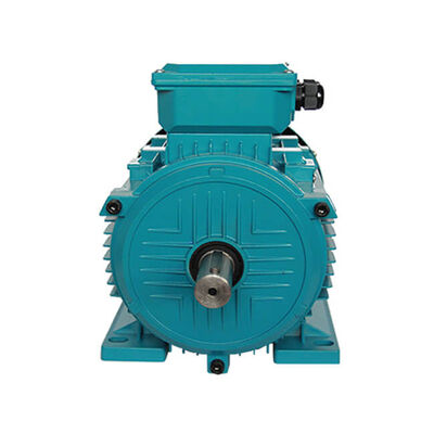 Wholesale Factory Price 1.1kw 3 Phase Induction Motor with Aluminum Housing and IP54 Protection