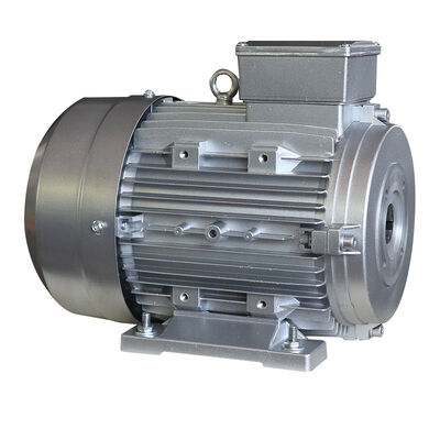 Rated Power 2.2KW 3HP 3 Phase Induction Motor B3 Mounting Suitable for Industrial Applications and Heavy Duty Operations