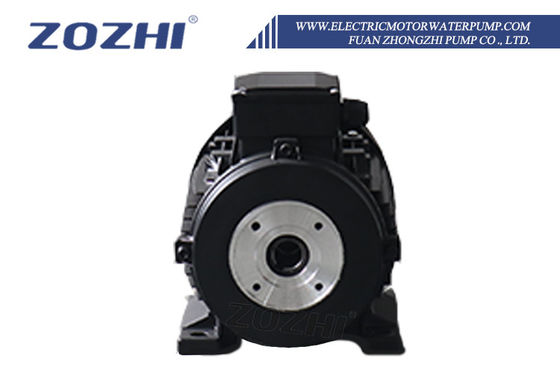 5.5 kW Hohlwellenmotor für Hochdruckwaschmaschinen mit Aluminiumgehäuse