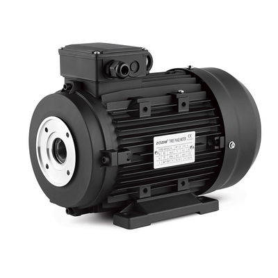 Hohe Qualität Dreifasiger Wechselstrom-Induktions-Hohlwellenmotor für Pumpen