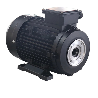 IP55 Protection Class Hollow Shaft Motor for Heavy Duty Applications