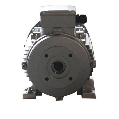 ZOZHI 5.5KW Hohlwellenmotor für Hawk Pump Interpump Ar Pump mit IMB3/IMB5 Montage Drei-Phasen-Induktionsmotor