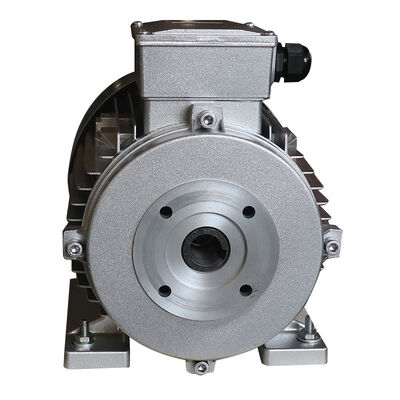 Class F Insulation Hollow Shaft Motor Rated Speed 1450rpm Designed for Smooth and Quiet Operation in Industrial Equipment