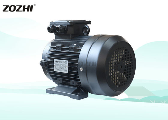 3kW Three-Phase Waterproof General-Purpose Hollow Shaft Motor F-Class Insulation